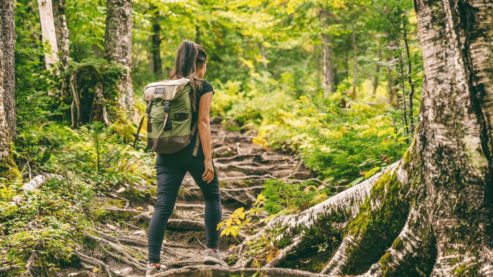 11 Must Visit Lakes in Utah: Uncover Breathtaking Scenery 10 Alpine trek