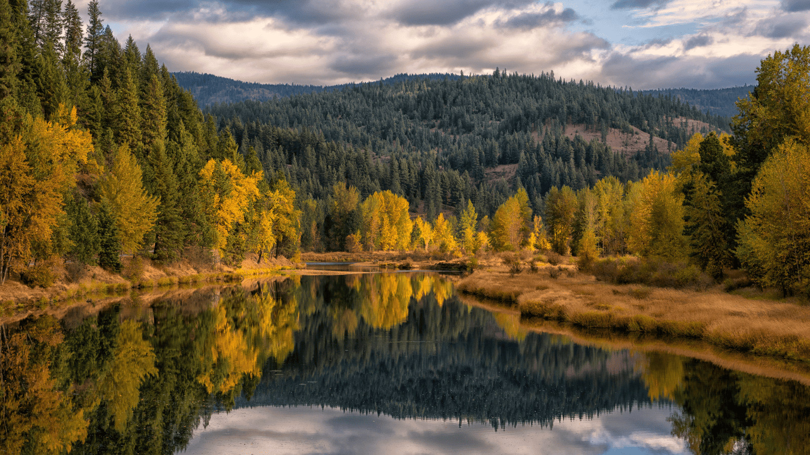 Lake Coeur d'Alene