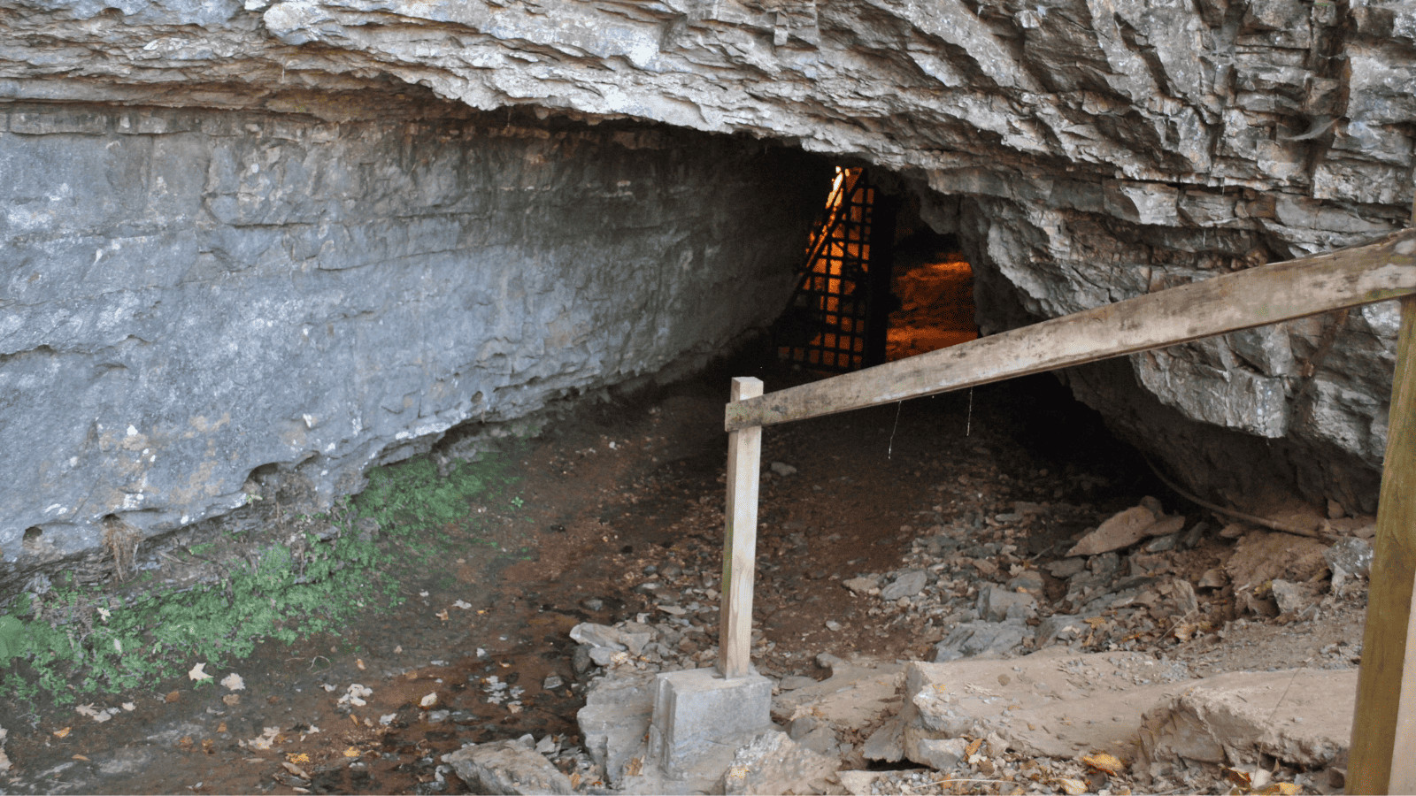 World's Top 10 Creepiest Destinations Revealed 2 Bell Witch Cave