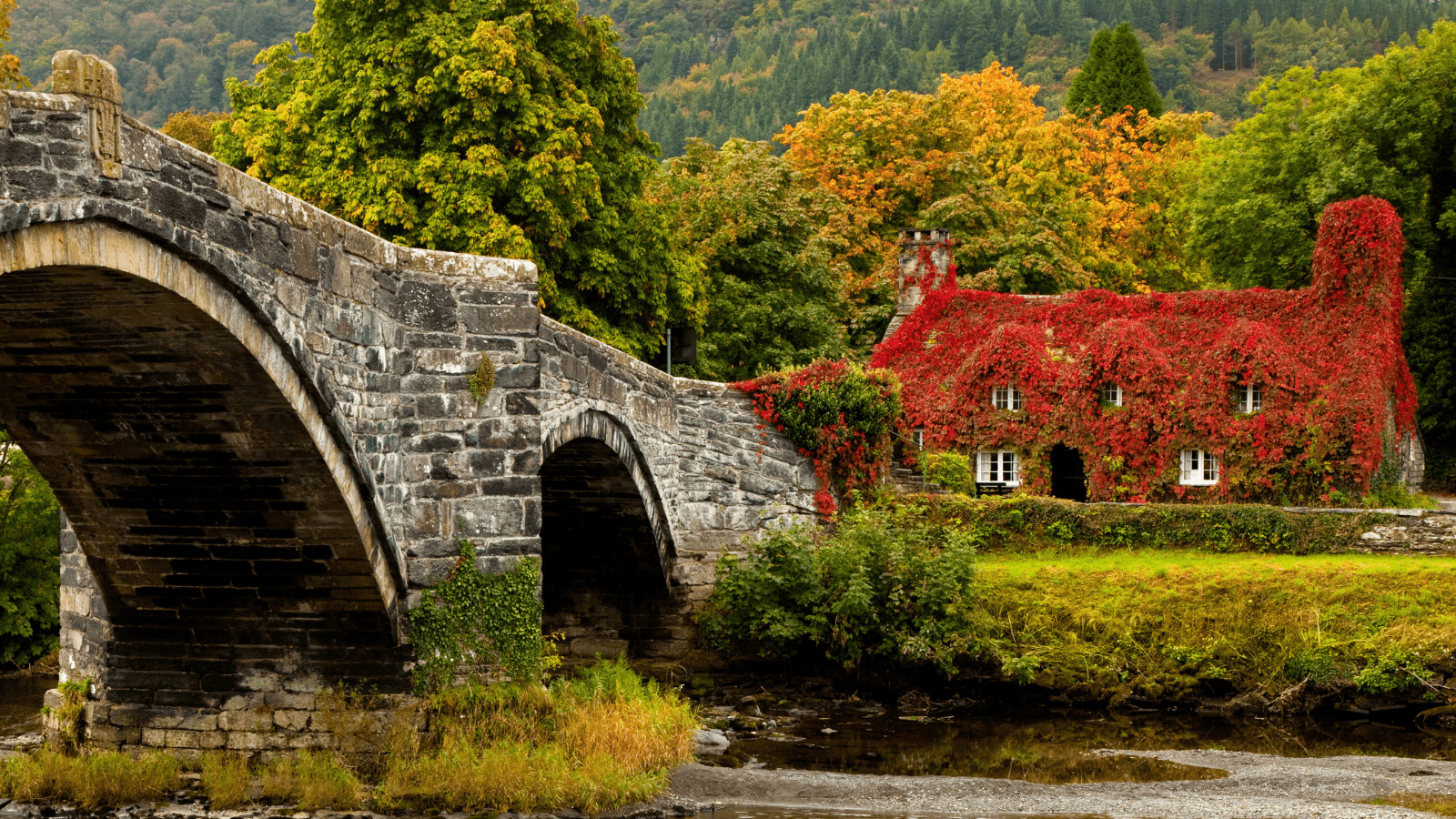 Fall in Love With the UK: 10 Cozy British Destinations for This Fall 6 Snowdonia