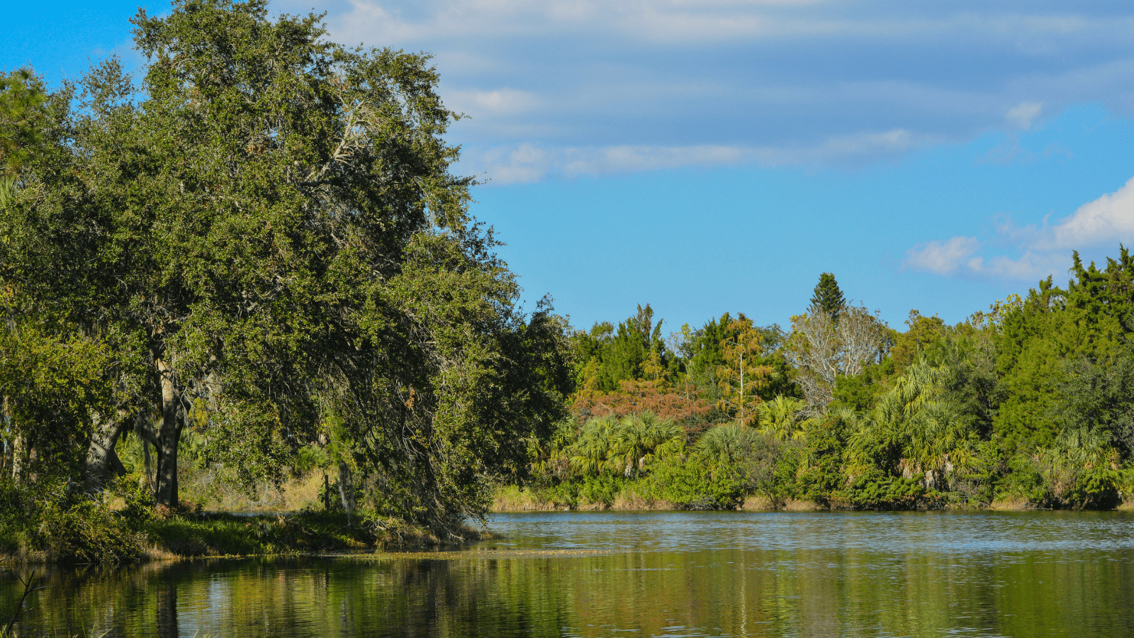 Lake Seminole