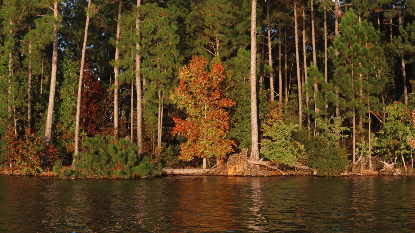 Lake Sinclair, Georgia