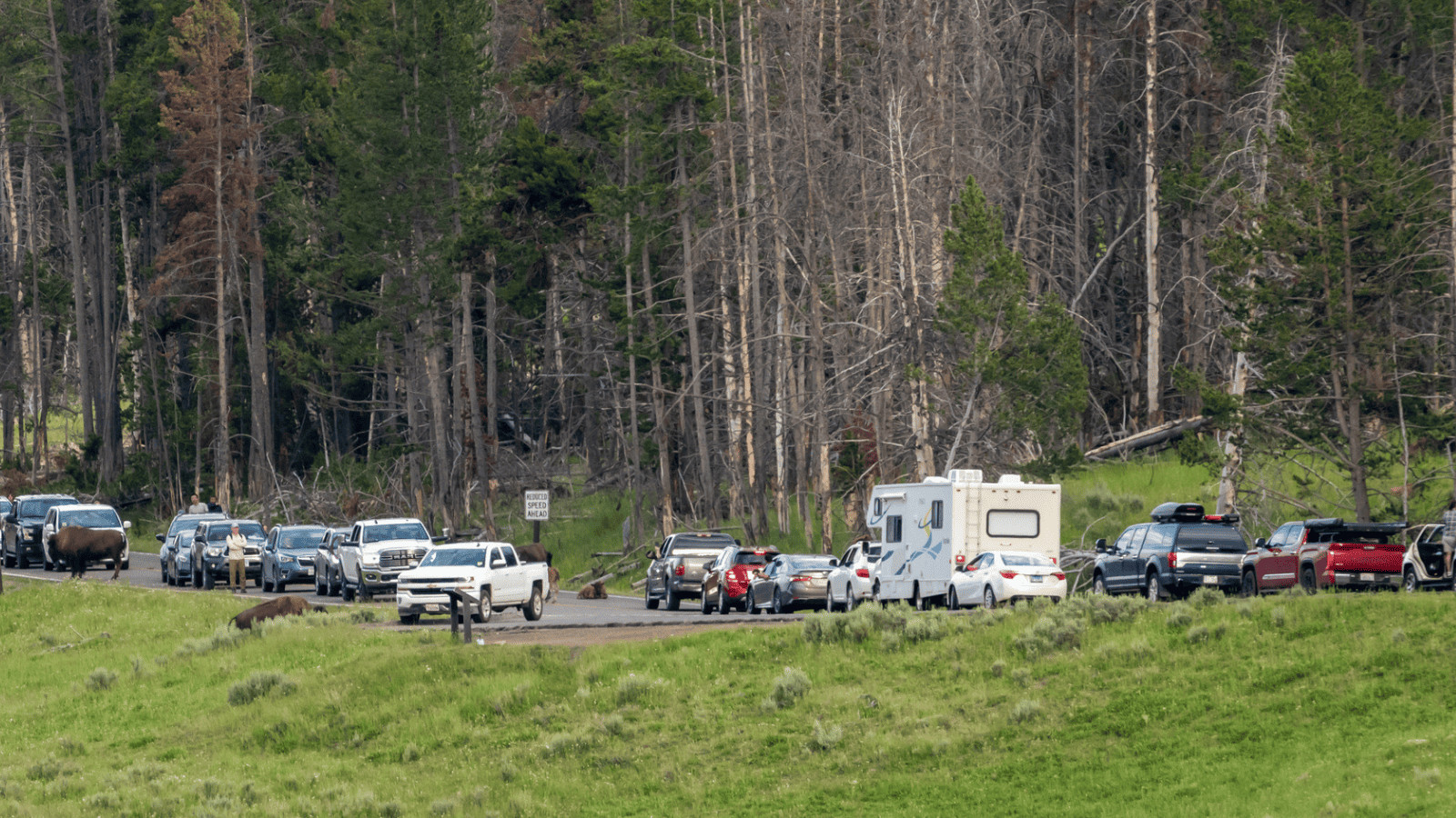 Tourism Turned Toxic: 11 Overcrowded Destinations 10 Yellowstone traffic