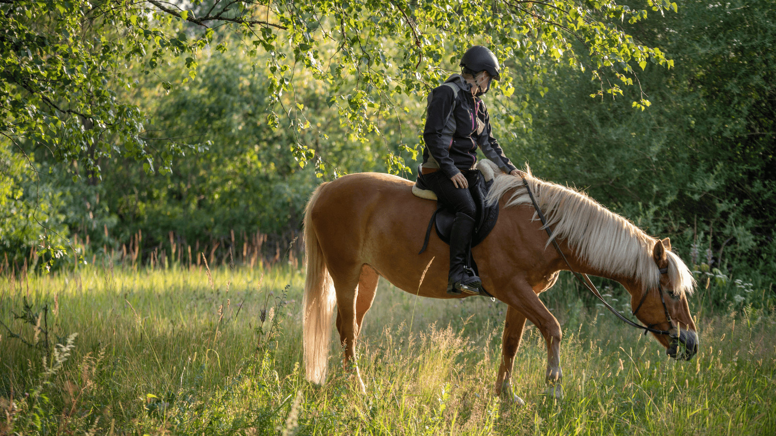 11 Lakes Near Nashville: Your Ultimate Guide to Water-Based Adventure 7 Woman horseback riding