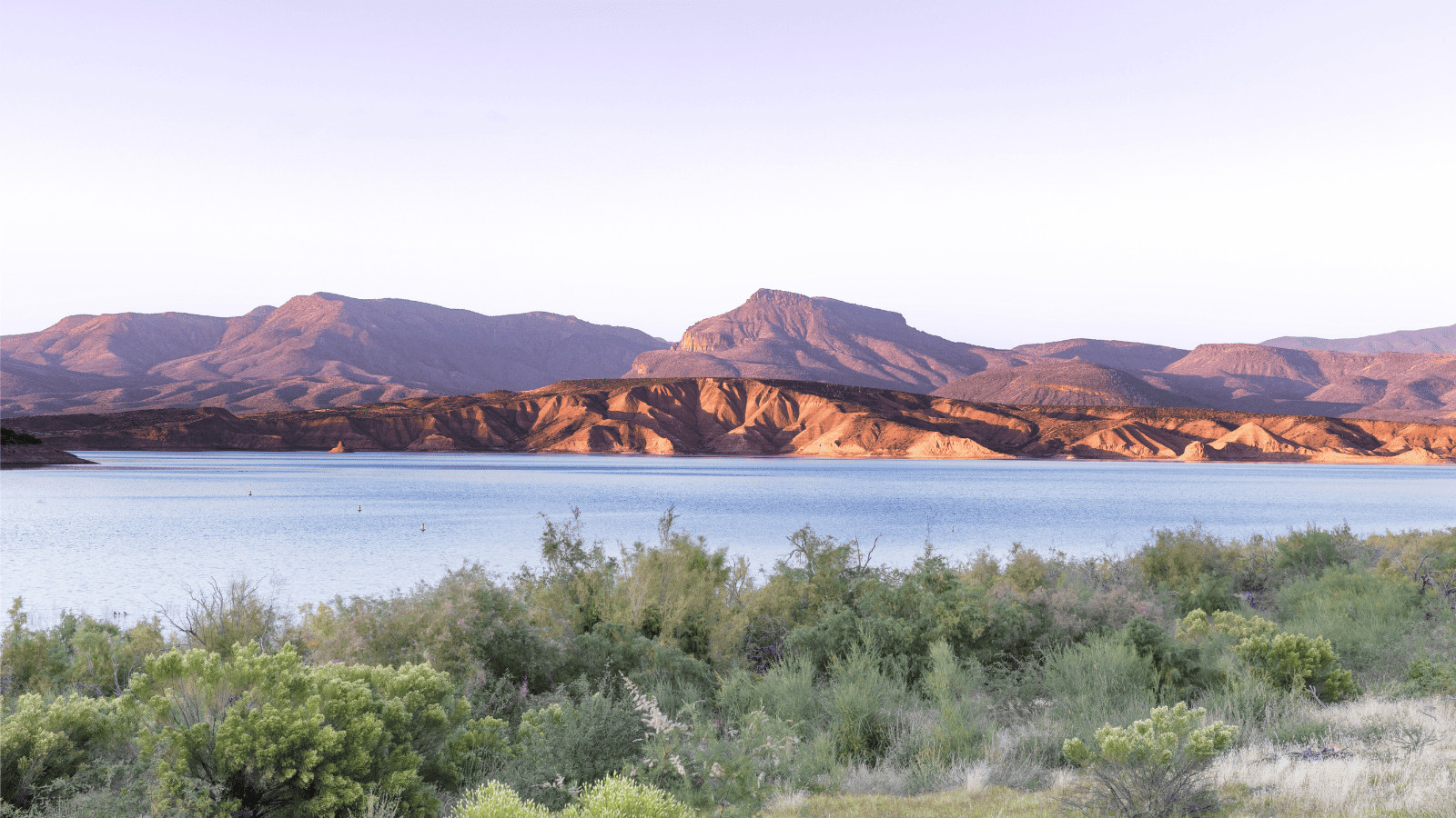 10 Stunning Lakes in Arizona: Waterside Getaways You Can't Miss 5 Theodore Roosevelt Lake