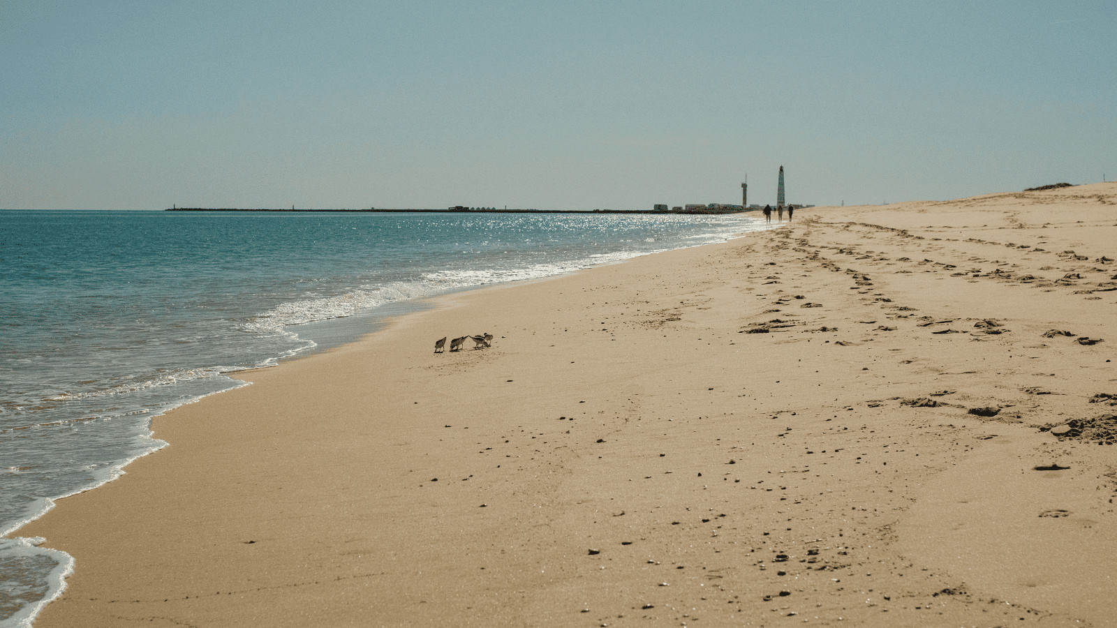 "The Best Beaches in the World": Unveiling Earth's Top Shoreline Escapes 6 Praia do Farol, Portugal