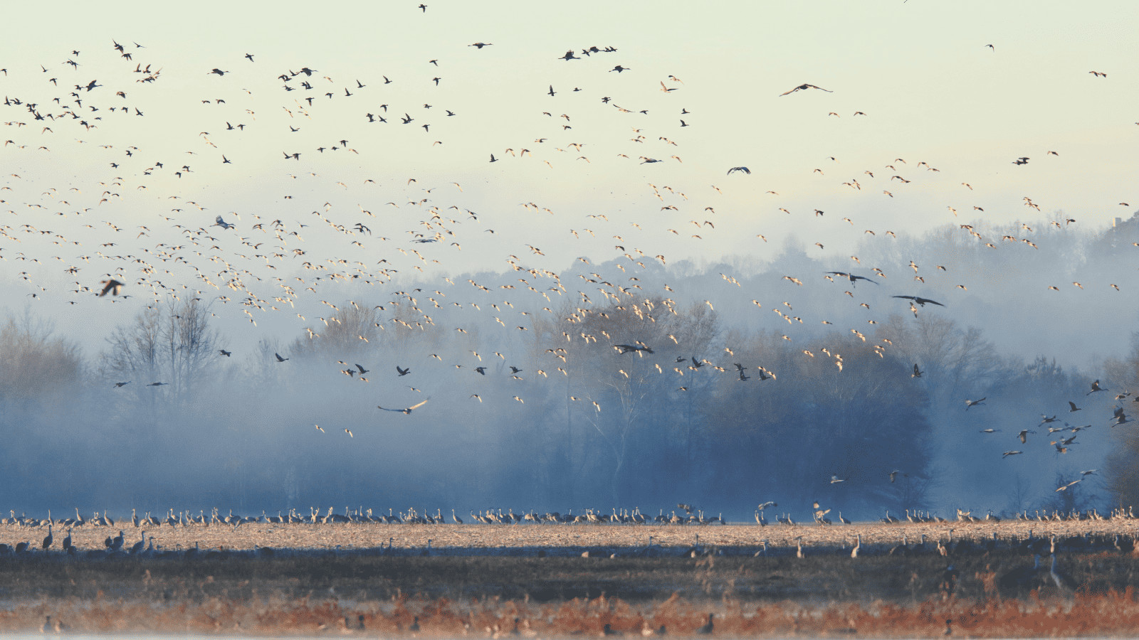 Wheeler National Wildlife Refuge