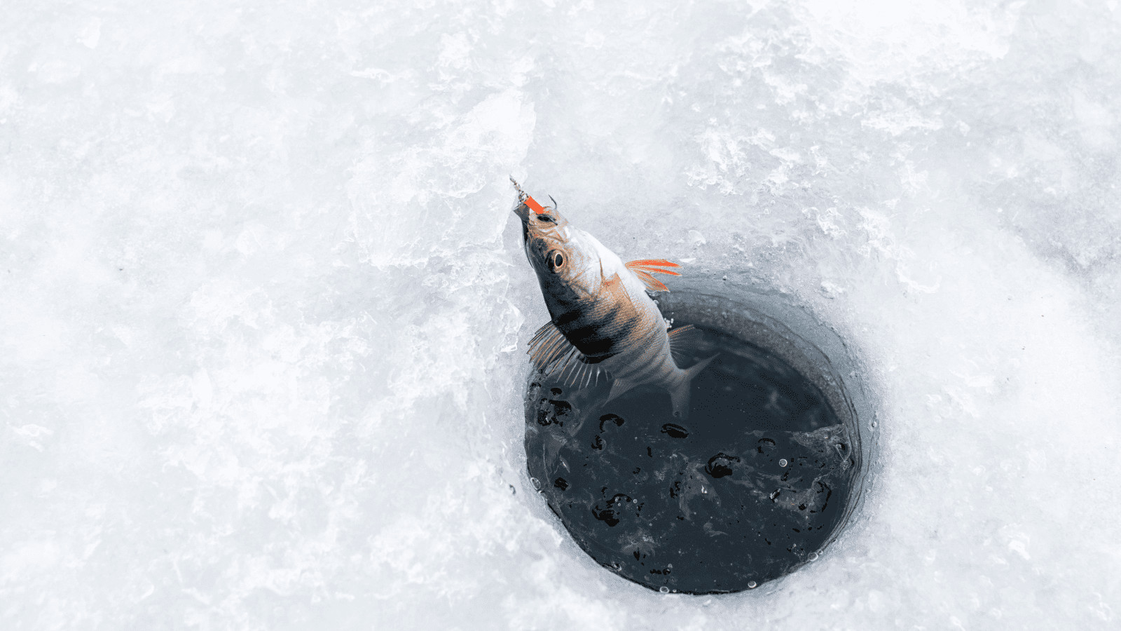 Ice Fishing