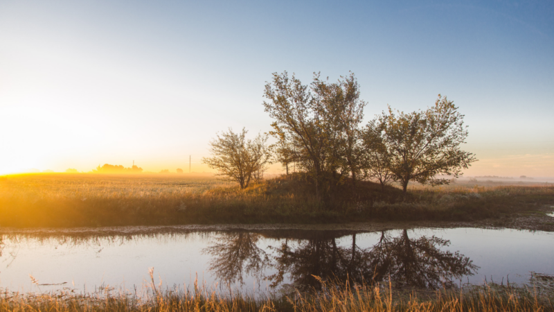 Lakes in Kansas: Your Passport to Nature’s Hidden Beauty