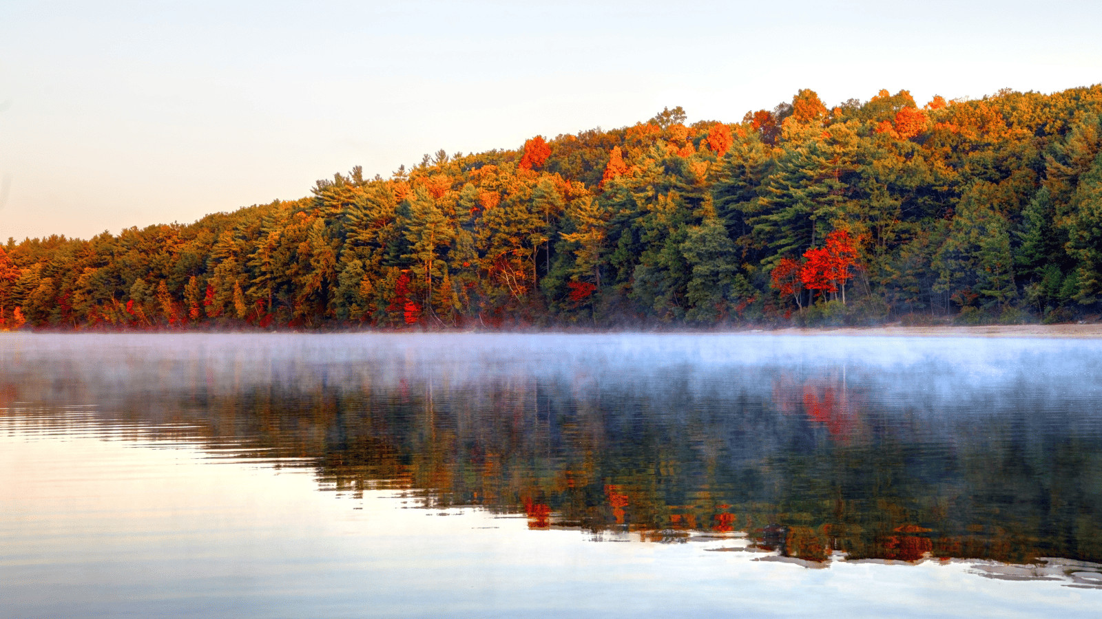 Walden Pond