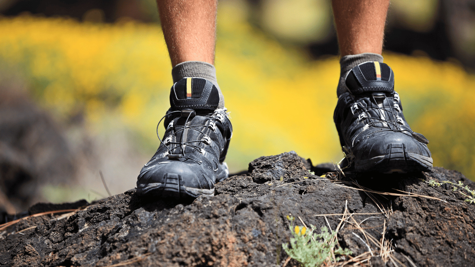 Hiking shoes
