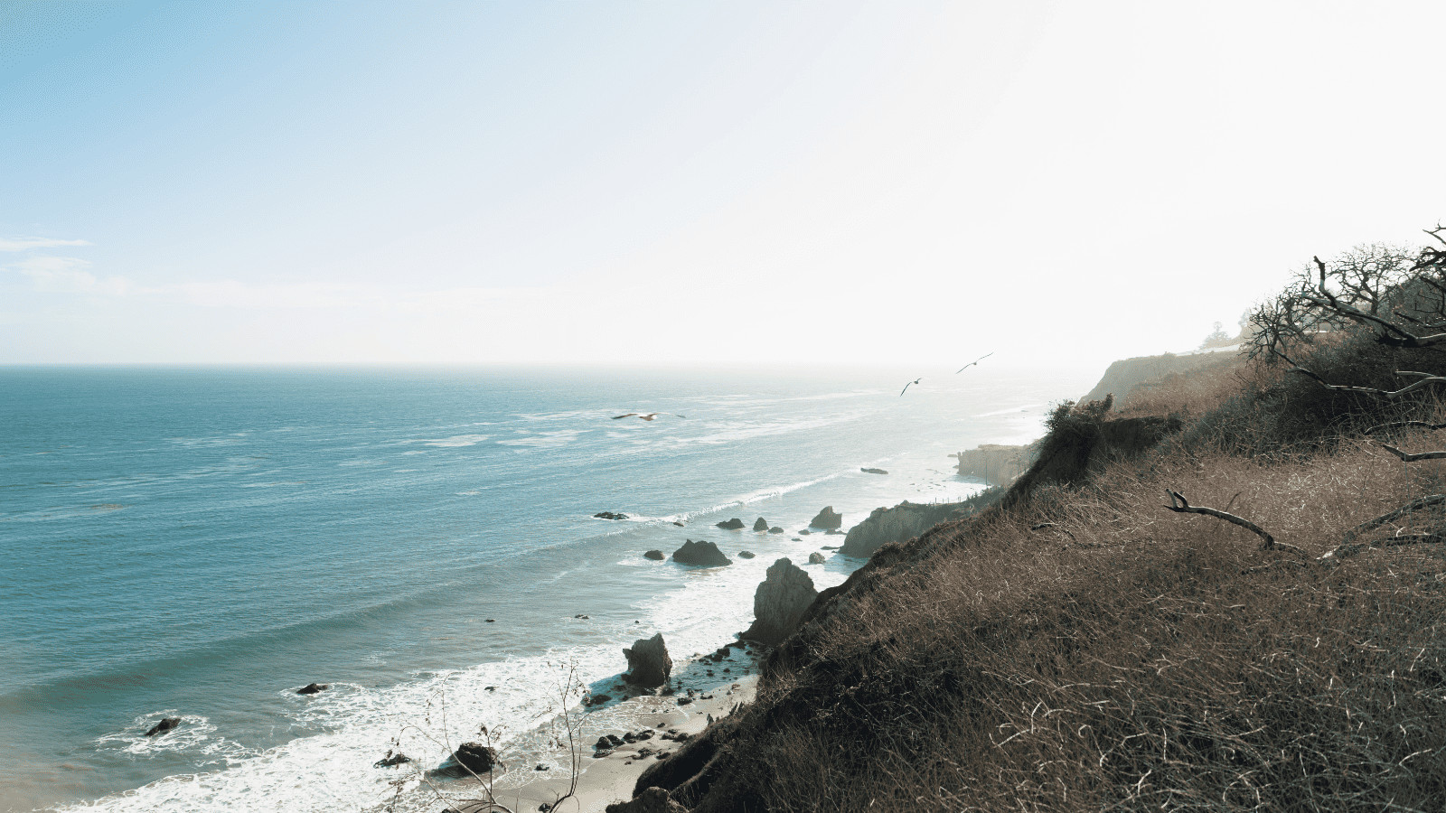 "The Best Beaches in the World": Unveiling Earth's Top Shoreline Escapes 10 El Matador State Beach – Malibu, California