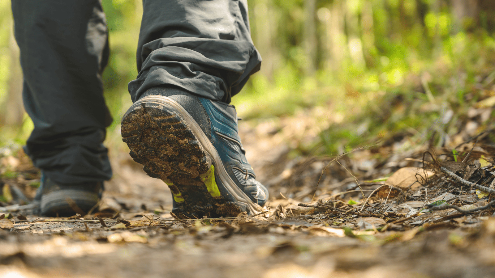 Hiking in the woods