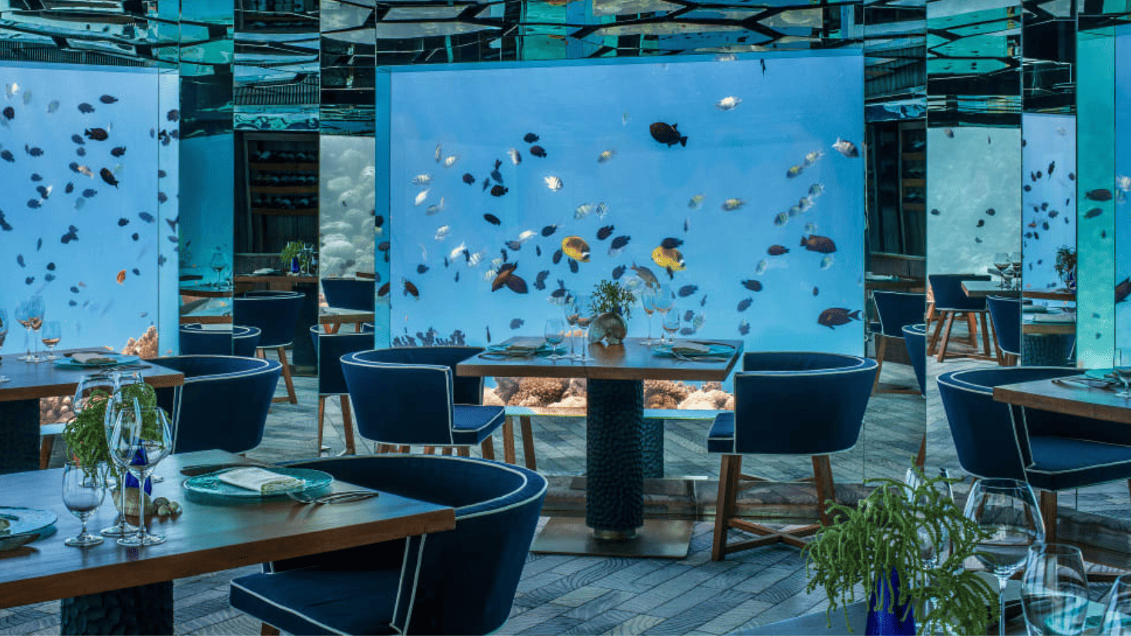Sleep Beneath the Waves: Dive into the Top 10 Underwater Hotels 5 Anantara Kihavah Villas