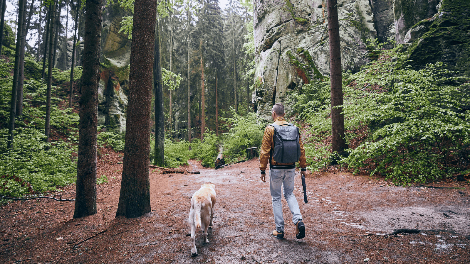 Man hiking in the woods with a dog