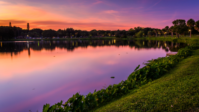 Discover the 16 Best Lakes in Florida