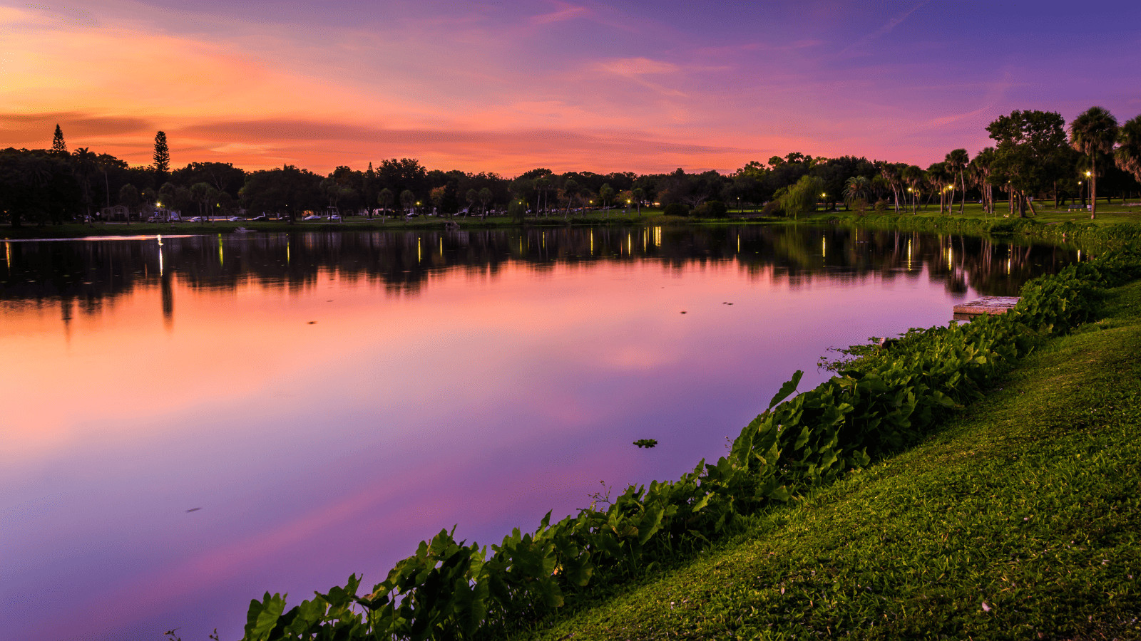 Wild Hearts and Wilder Horizons: Miami's Best Wildlife Tours 15 Crescent Lake