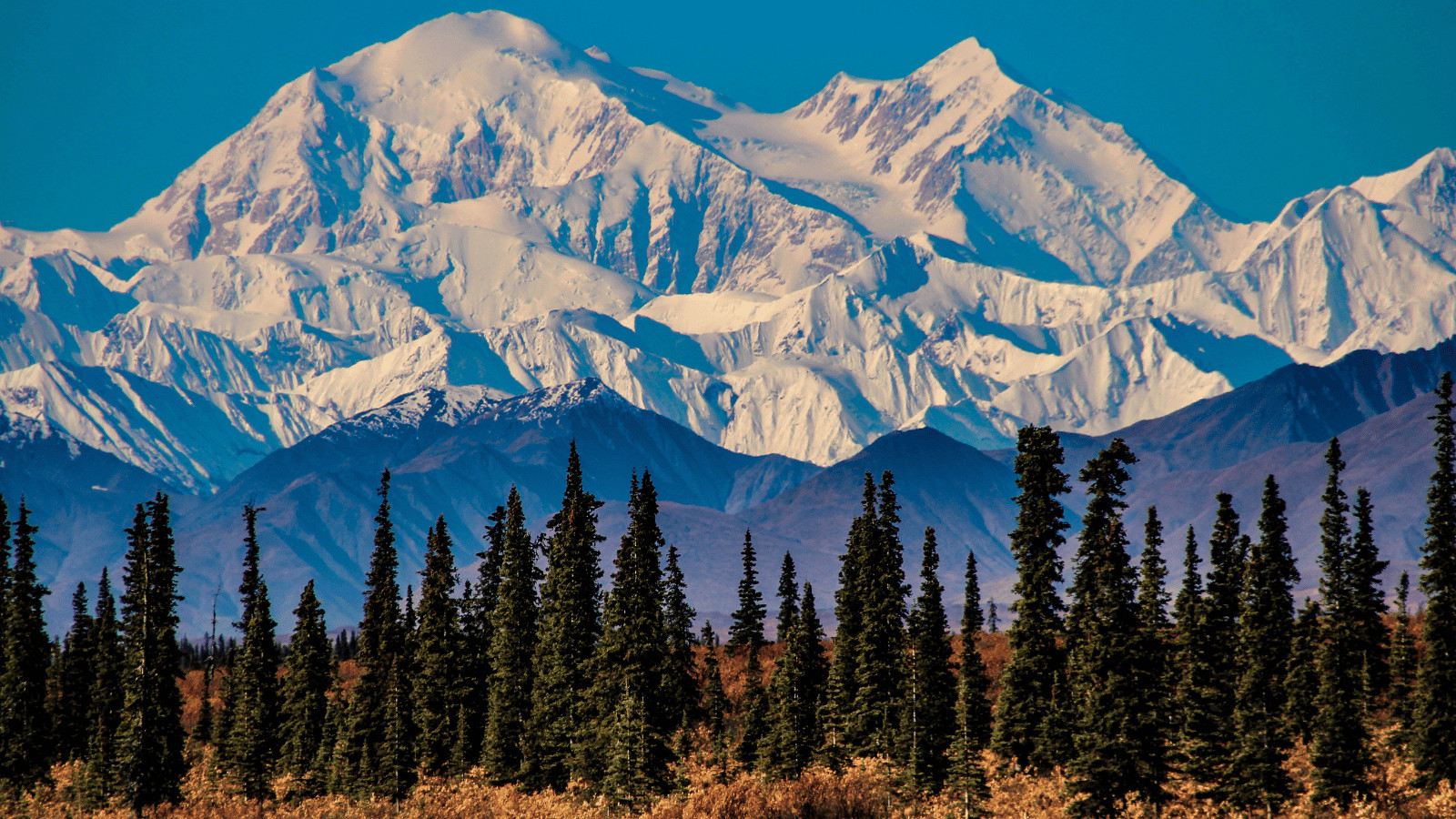 Off the Beaten Path: Unveiling America's Least Visited National Parks 1 Denali National Park Alaska