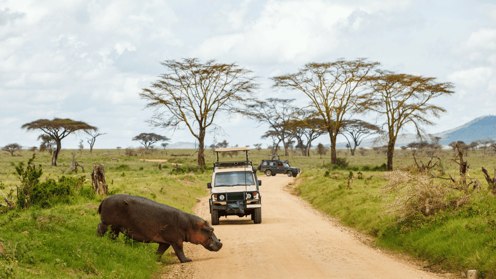 Overseas Traffic Rules: Decoding Driving Regulations Abroad 4 Driving in Africa