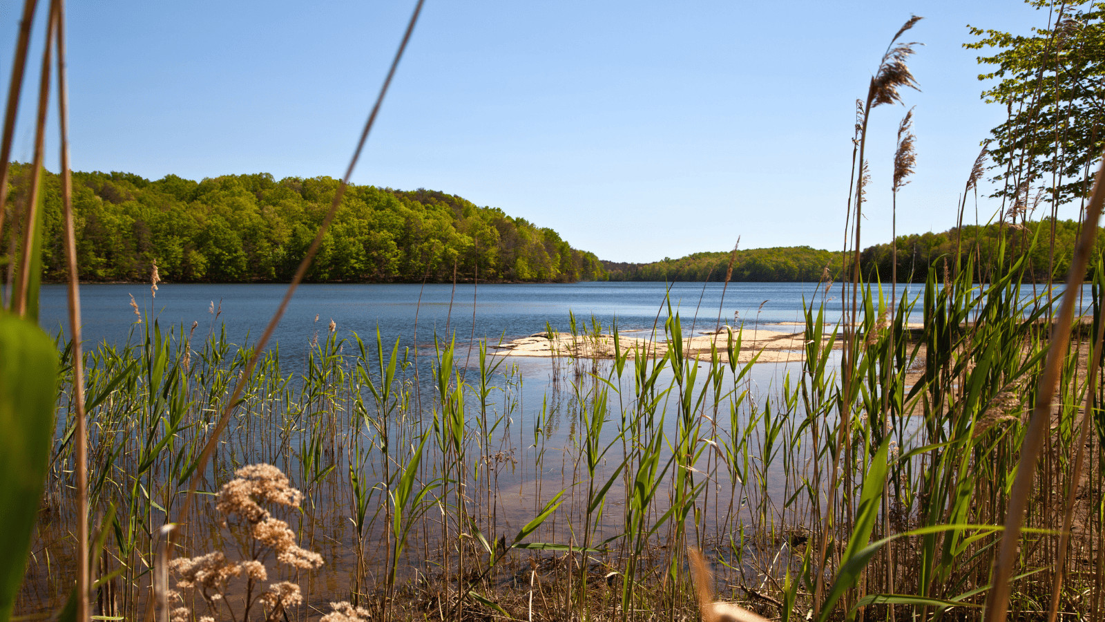 15 Best Lakes in Tennessee: Scenic Lakes for Memorable Adventures 14 Fall Creek Lake