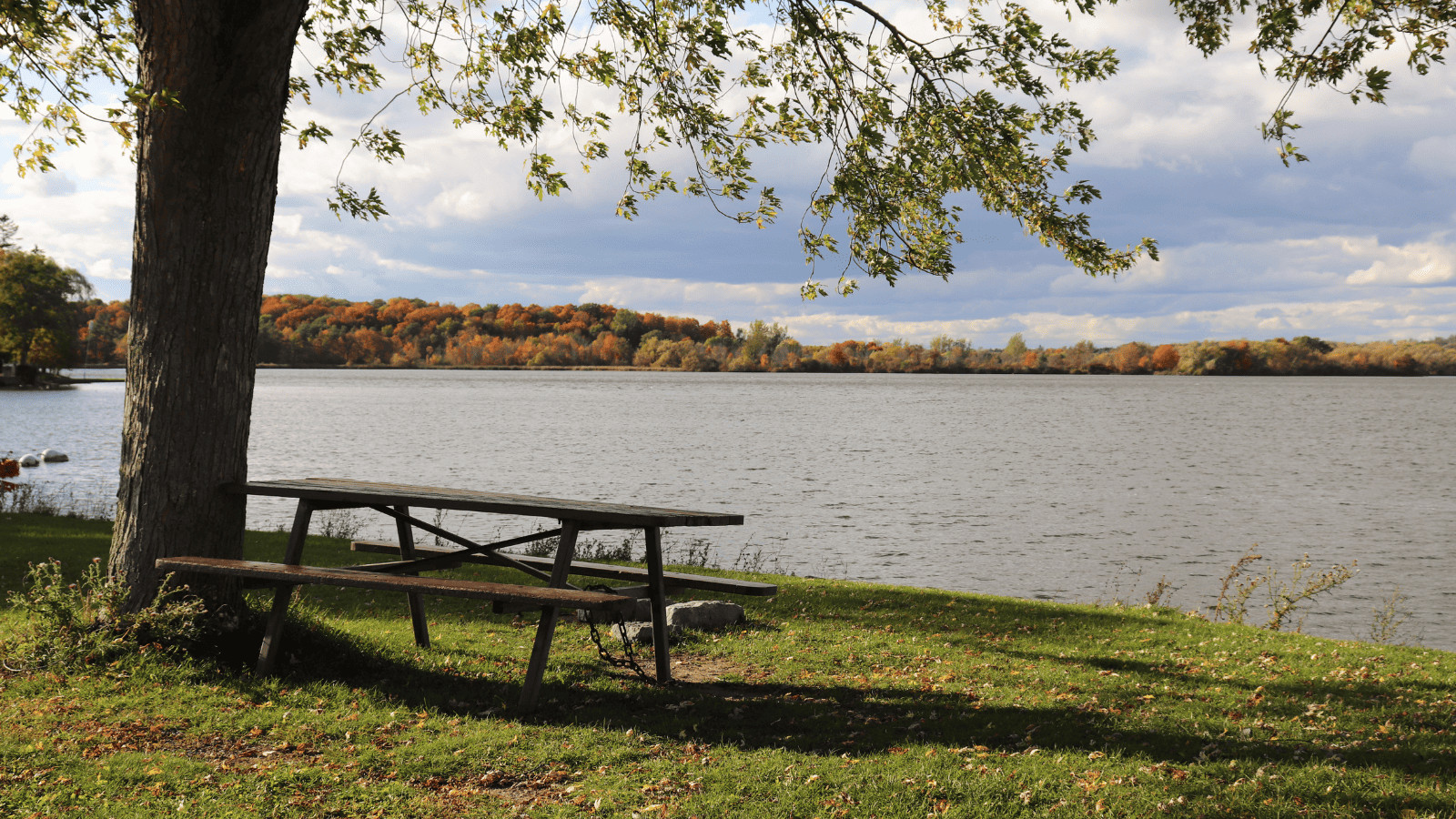 Fellows Lake