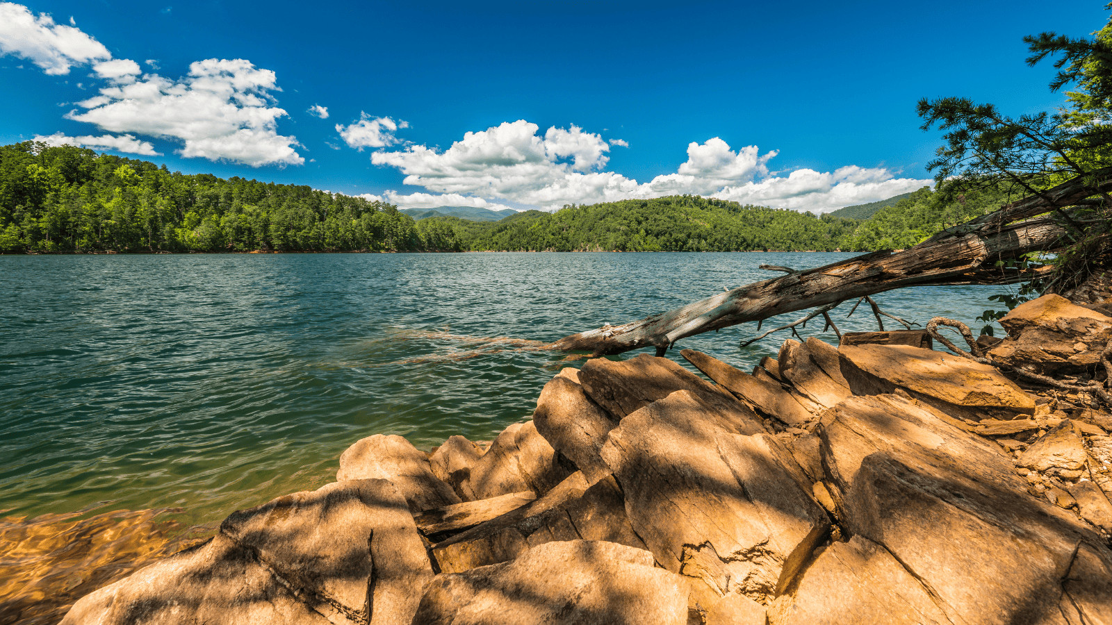 Lakes in North Carolina: Find Serenity in These Scenic Waters 4 Fontana Lake