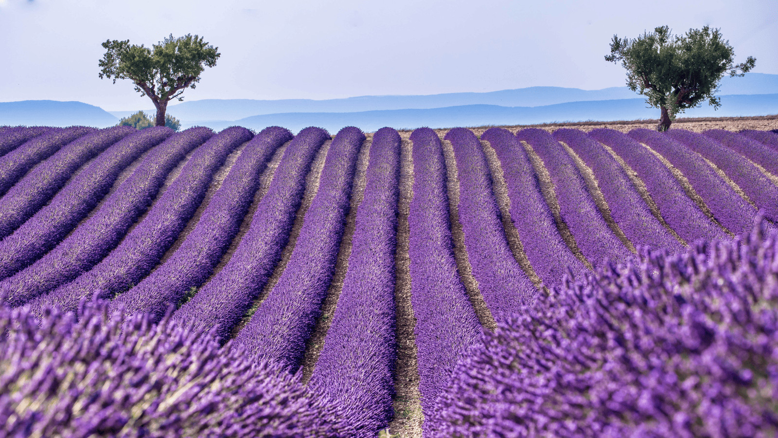 The Top 14 Countries Where Nature Reigns Supreme! 4 France 1