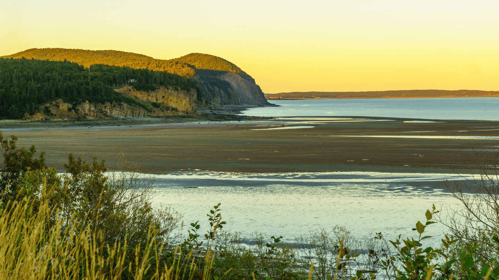 Canada’s Top 13 National Parks To Add to Your Bucket List 4 Fundy National Park