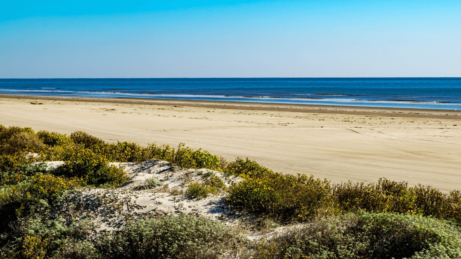 11 of the Best Beach Getaways in the US 4 Galveston