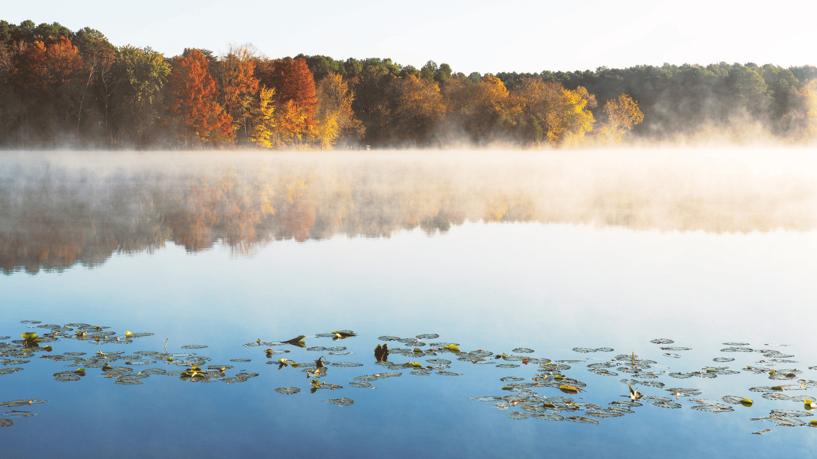 Immersing in Serenity: 17 Lakes in Pennsylvania 7 Glendale Lake