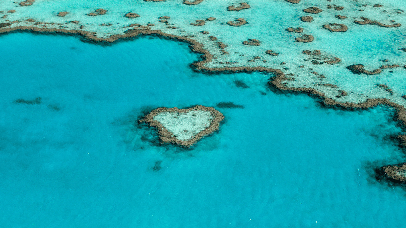 Great Barrier Reef Queensland
