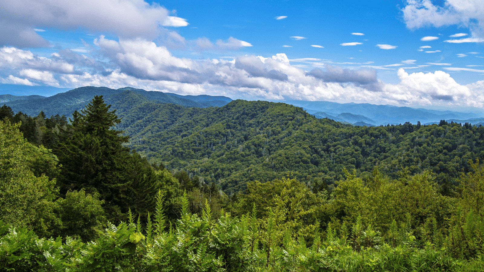 Great Smokey Mountains National Park