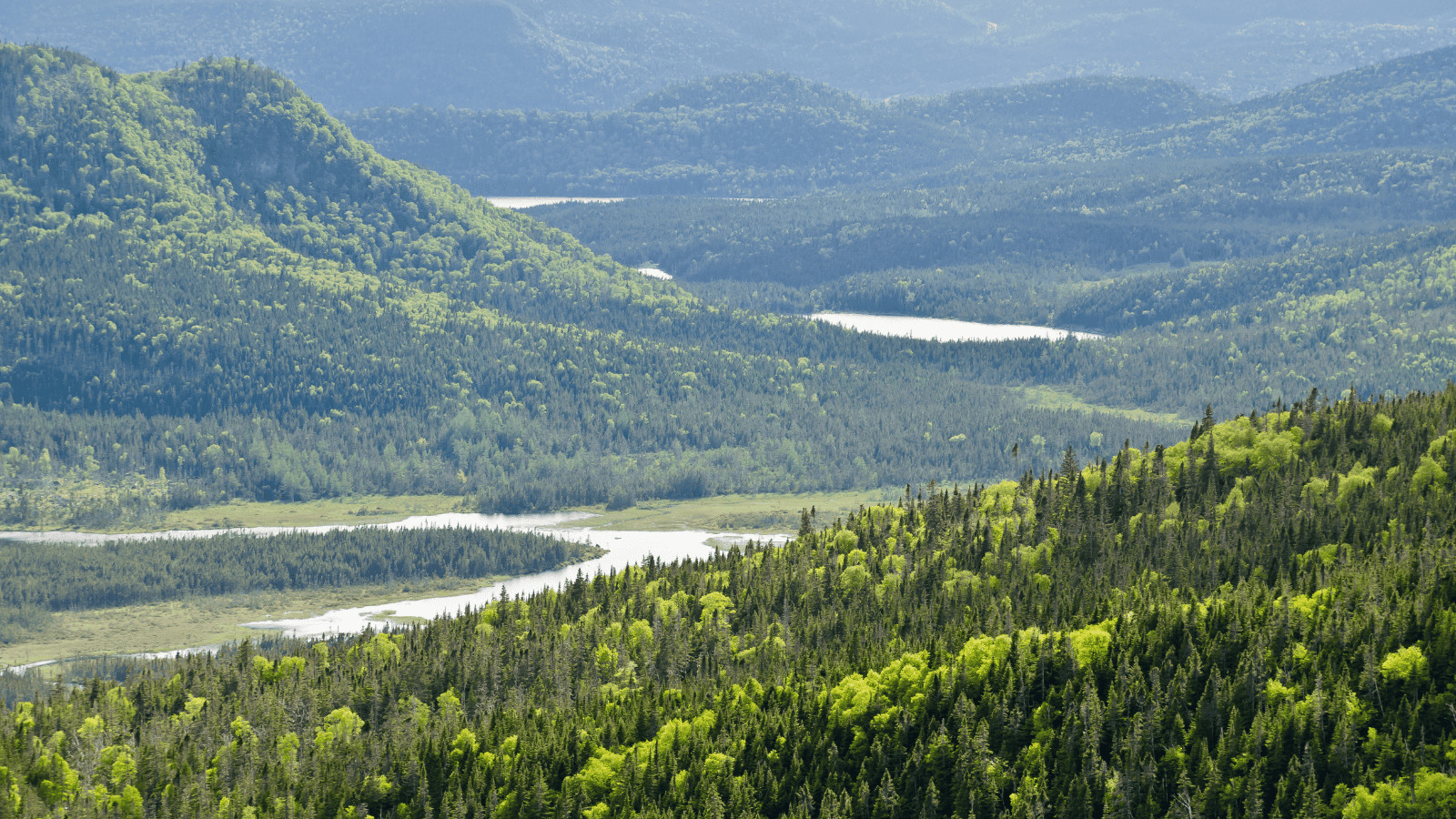 Canada’s Top 13 National Parks To Add to Your Bucket List 6 Gros Morne National Park