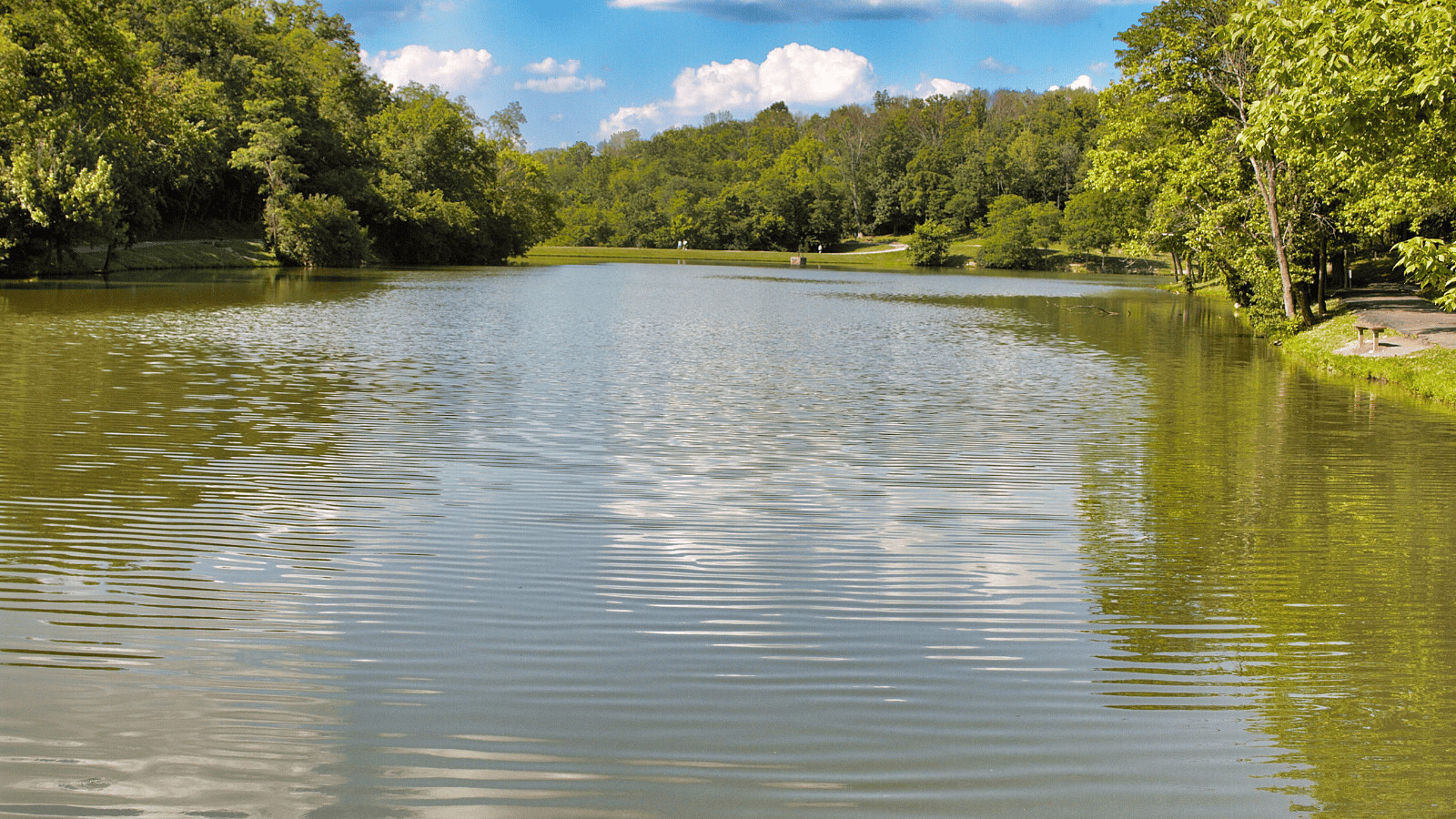 Herrington Lake