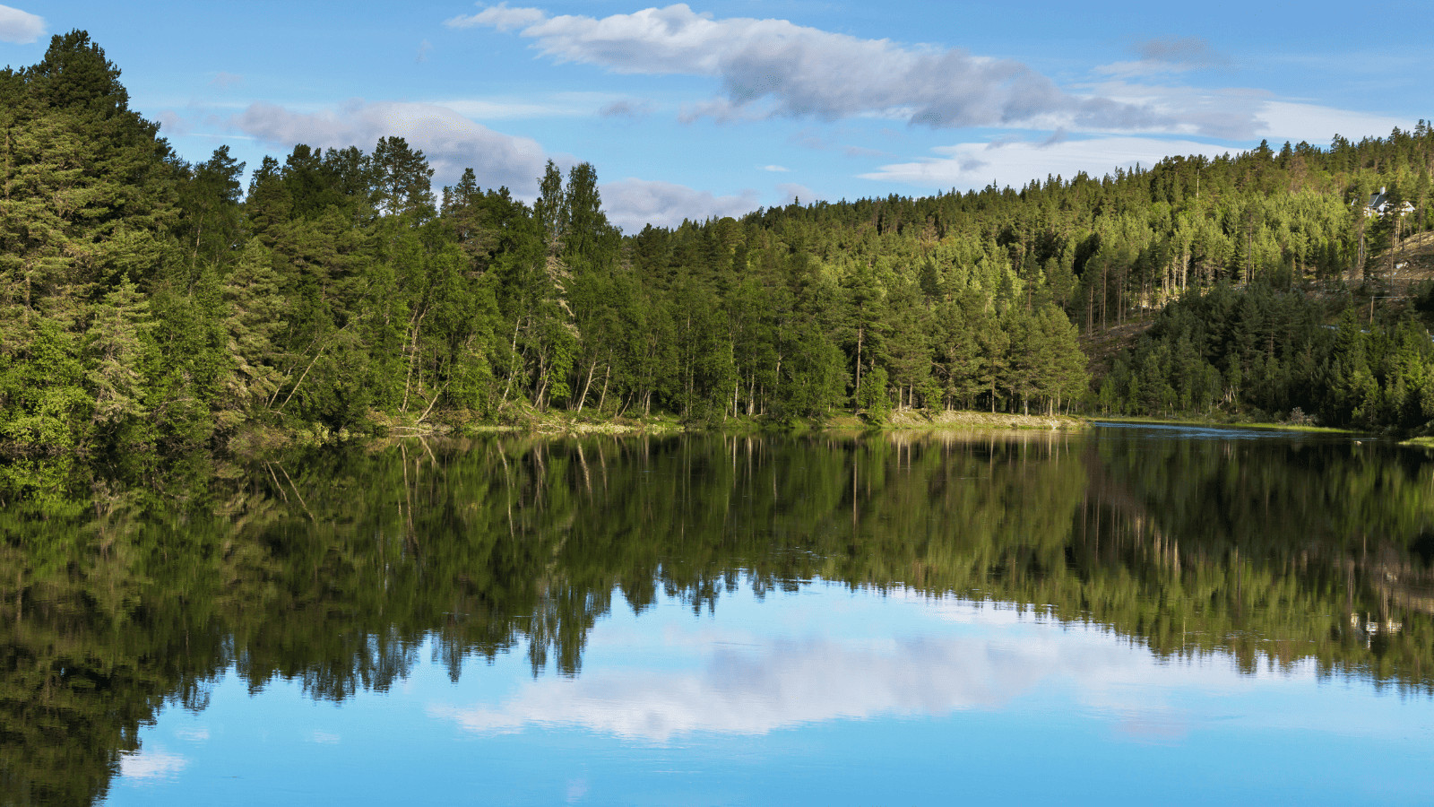 Lakes in North Carolina: Find Serenity in These Scenic Waters 5 High Rock Lake 1