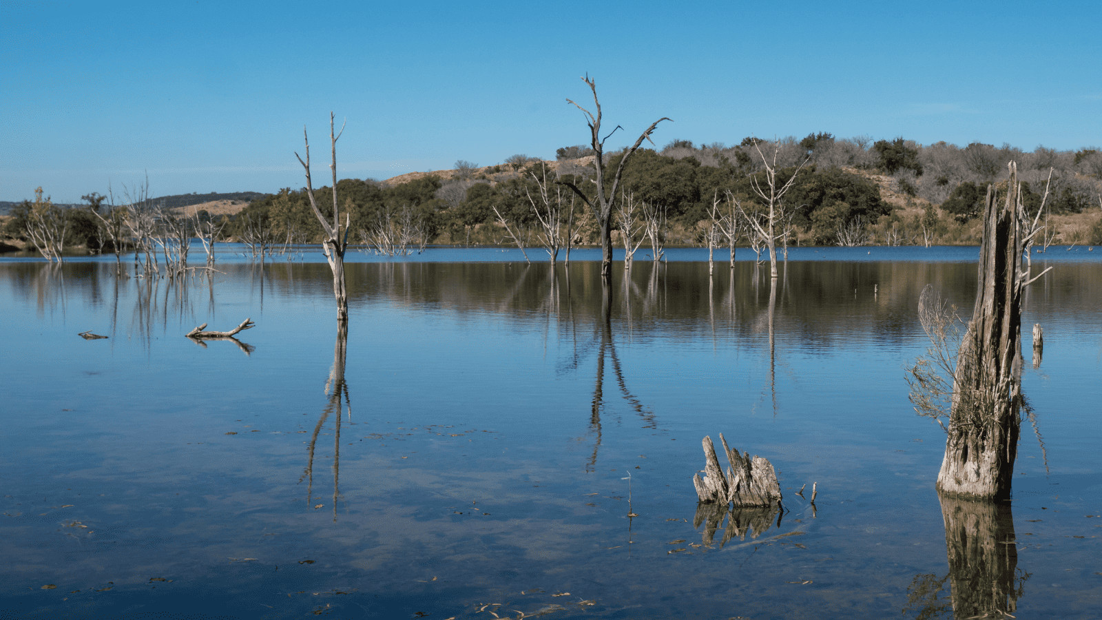 Uncover Tranquility: 11 Lakes in Austin Worth Visiting 2 Inks Lake