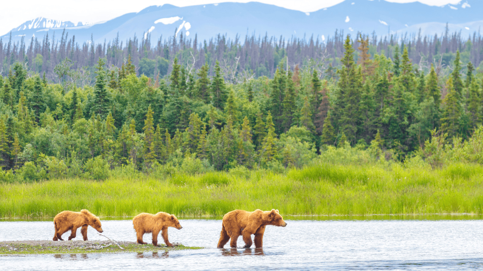 Off the Beaten Path: Unveiling America's Least Visited National Parks 5 Katmai National Park and Preserve Alaska