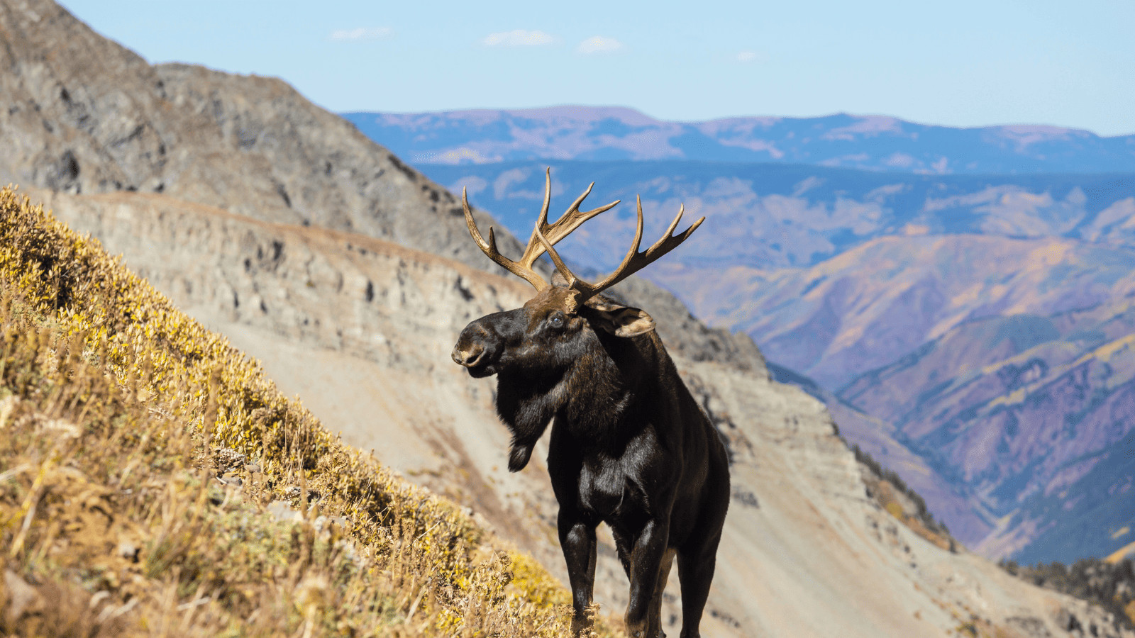 Off the Beaten Path: Unveiling America's Least Visited National Parks 6 Kobuk Valley National Park Alaska