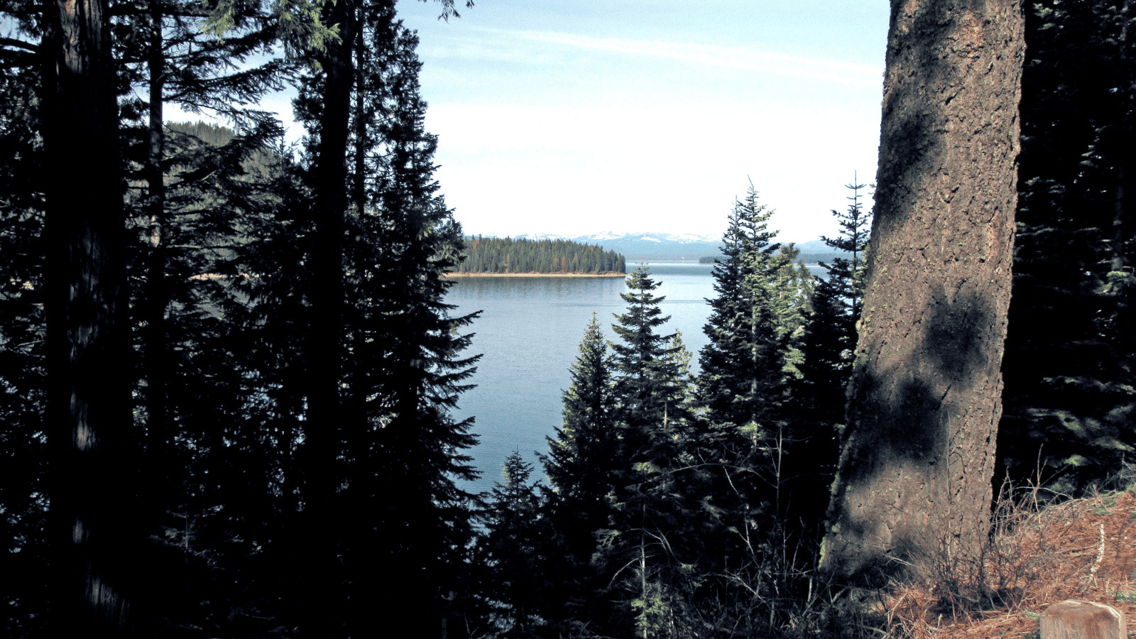 The 17 Most Breathtaking Lakes in CA 17 Lake Almanor