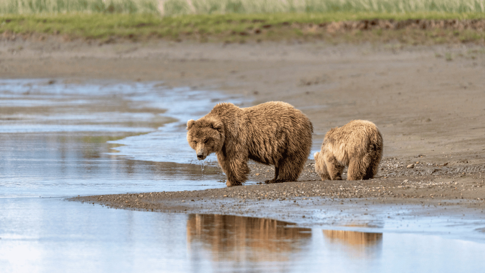 Off the Beaten Path: Unveiling America's Least Visited National Parks 7 Lake Clark National Park and Preserve Alask