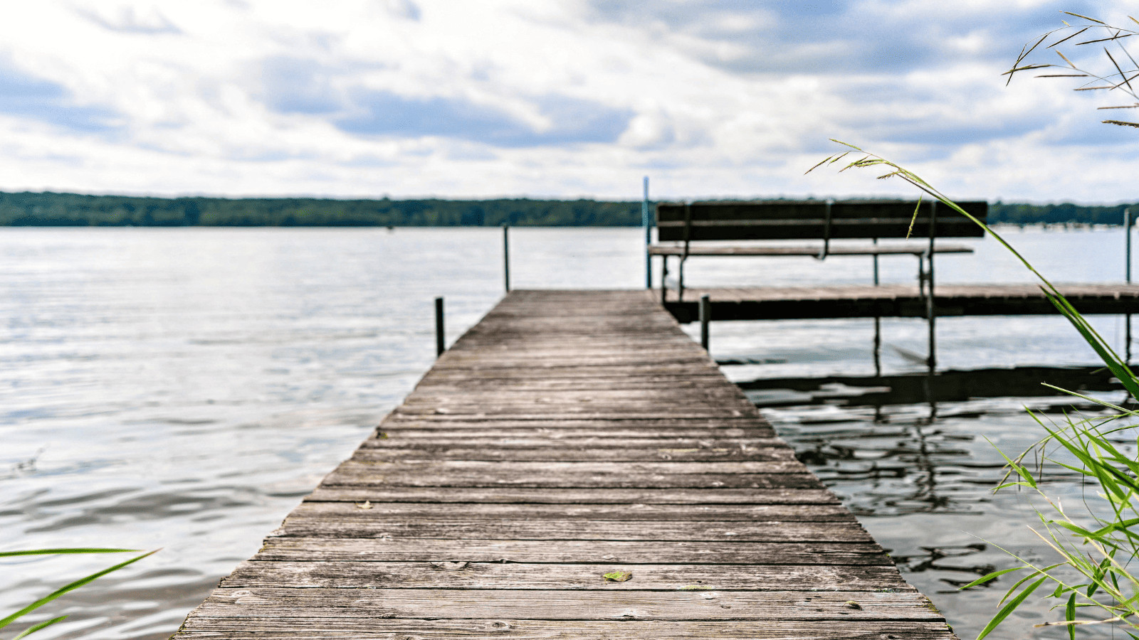 Lake Darling