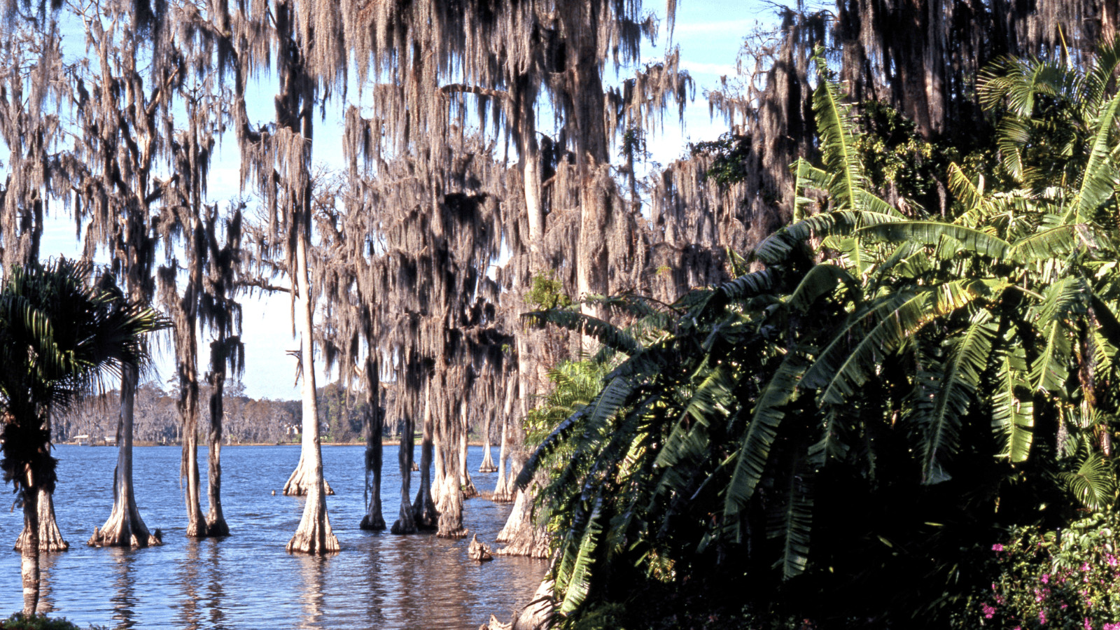 Discover the 16 Best Lakes in Florida 16 Lake Eloise