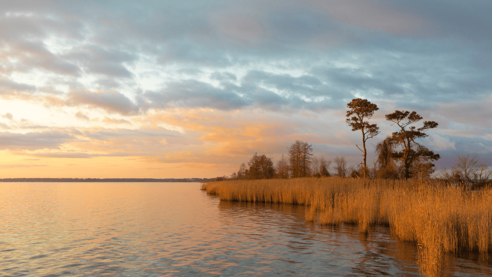 Lakes in North Carolina: Find Serenity in These Scenic Waters 12 Lake Mattamuskeet