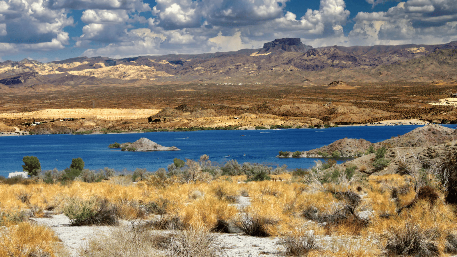 Lake Mohave