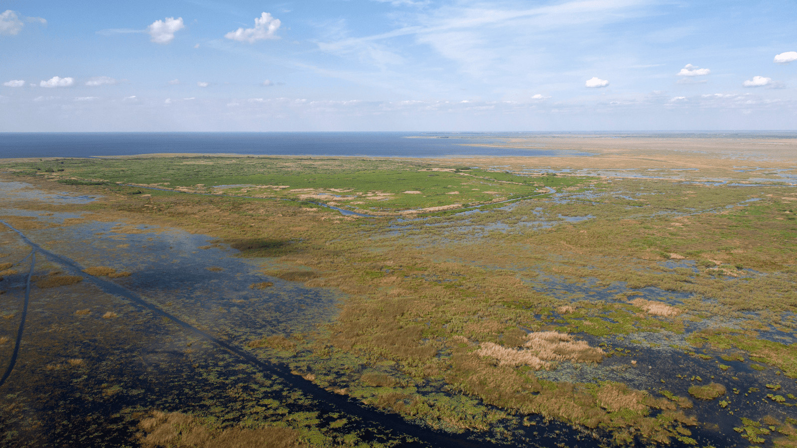 Discover the 16 Best Lakes in Florida 1 Lake Okeechobee