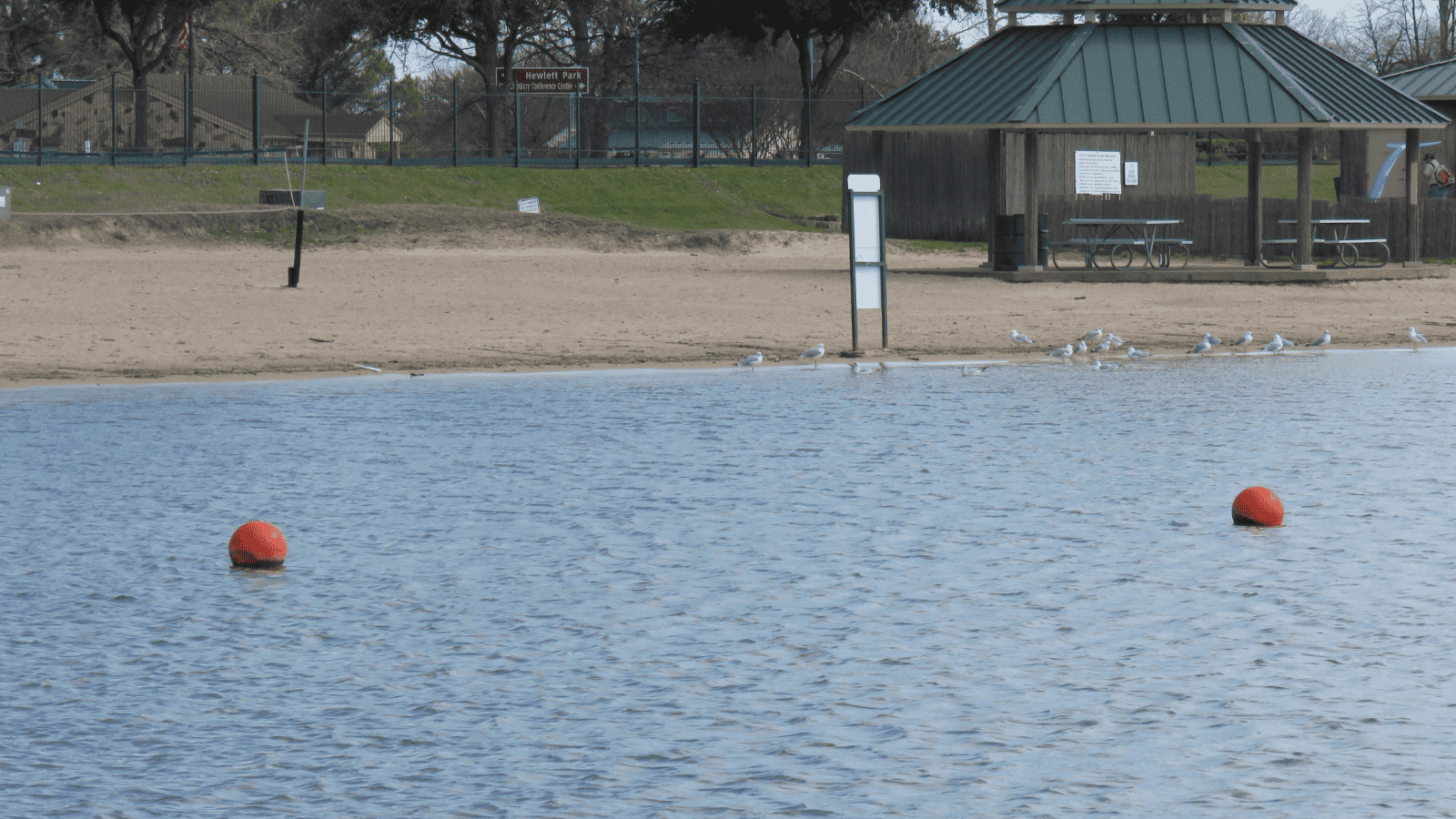 Uncover Tranquility: 11 Lakes in Austin Worth Visiting 9 Lake Pflugerville