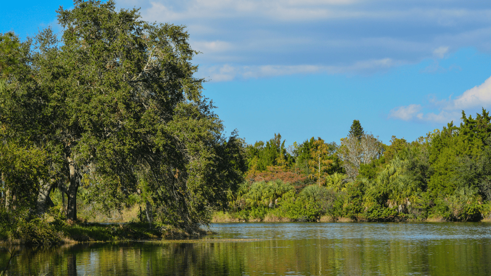 Discover the 16 Best Lakes in Florida 11 Lake Seminole
