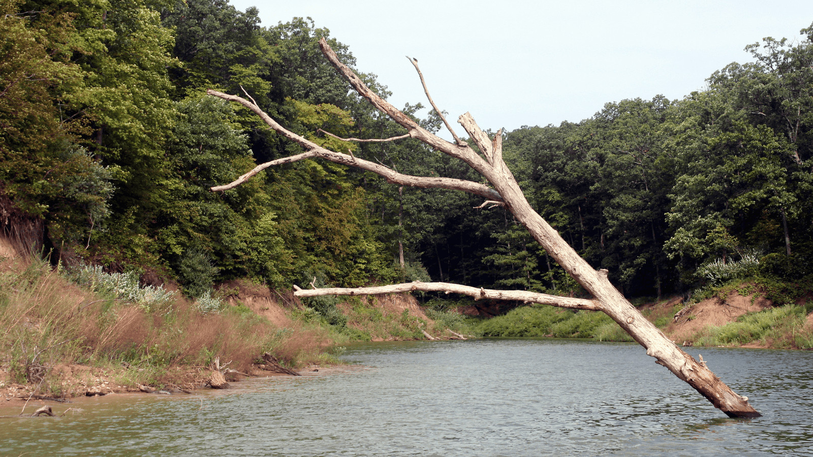 Discover Scenic Beauty: 12 Lakes in Illinois You Cannot Miss 9 Lake Shelbyville
