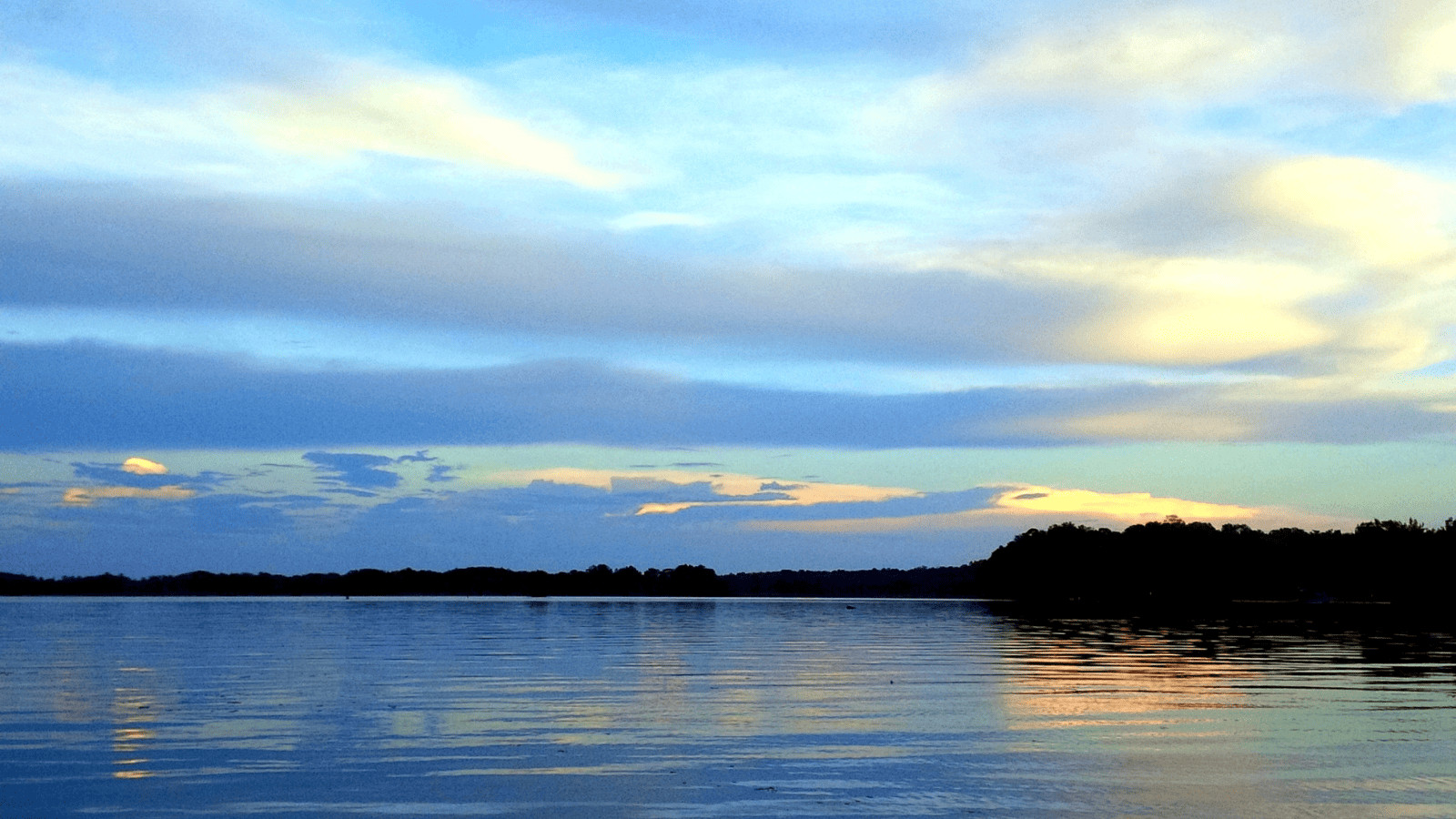 Discover the 16 Best Lakes in Florida 14 Lake Talquin