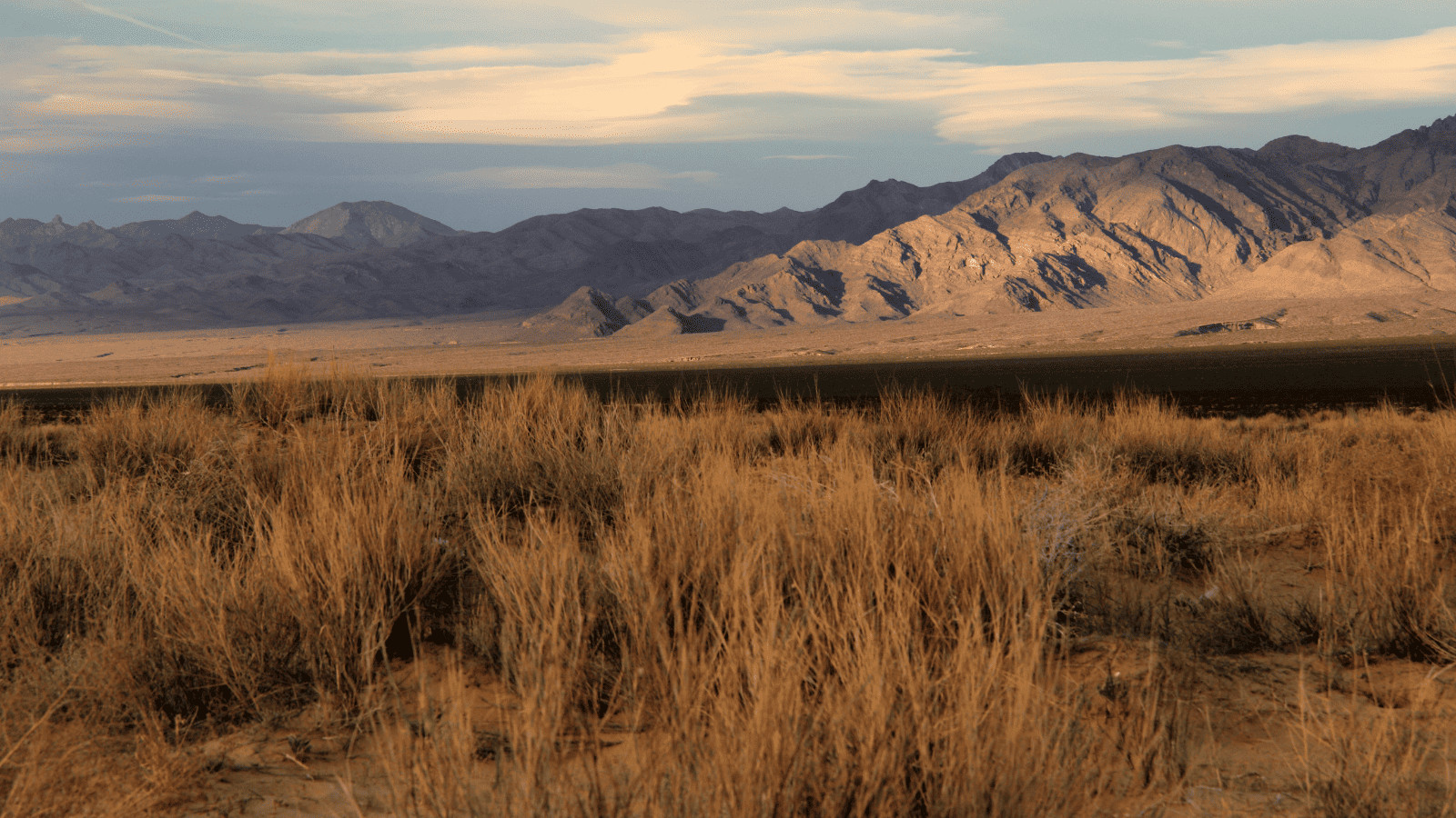 The Best Californian National Parks to Camp In 6 Mojave National Preserve